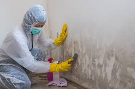 Mifflinburg, PA Mold Prevention & Removal  Company